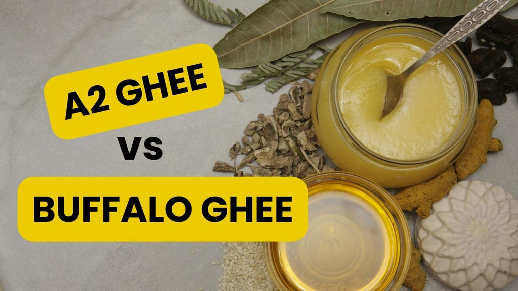 A2 Ghee vs Buffalo Ghee – What’s Better for Health?