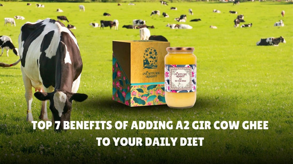 Top 7 Benefits of Adding A2 Gir Cow Ghee to Your Daily Diet